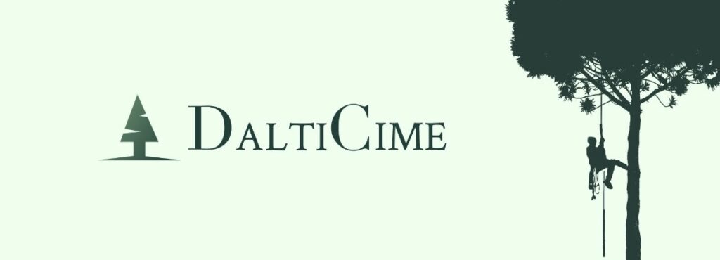 dalticime